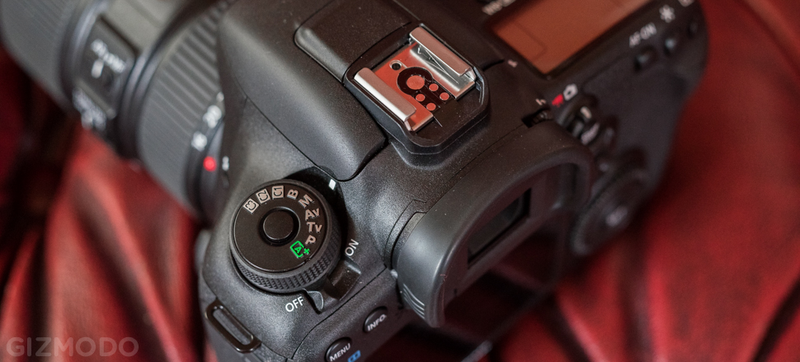 Illustration for article titled Canon 7D Mark II: The Best DSLR For Sports and Wildlife, But That's All